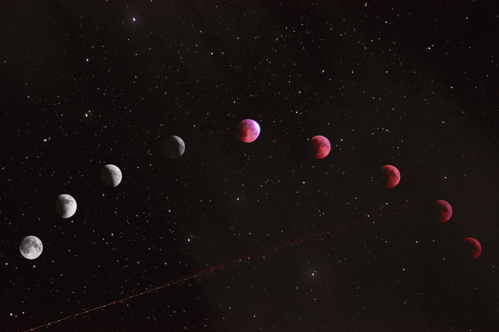 The phases of the moon represent the cycle of life: birth, growth, change and renewal