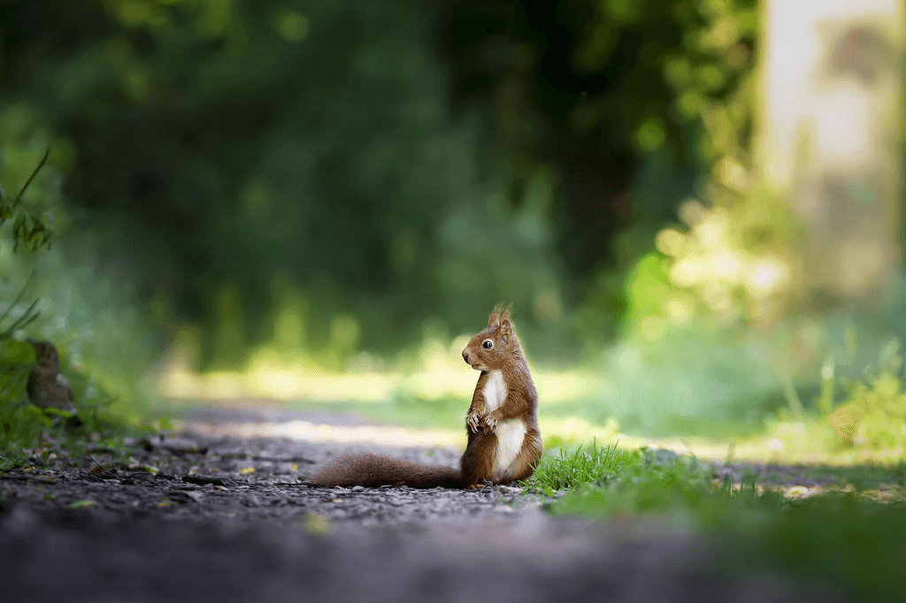 The ultimate way to learn how to track down animals, is to see things from their perspective