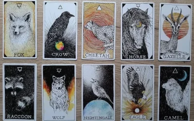 The 5 Best Animal Oracle Decks