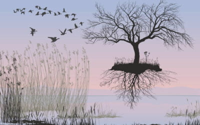 Grounding Yourself: What It Means, Why It Is Important And 15 Ways To Do It