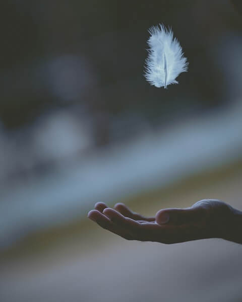 spiritual laws of nature you need to know about