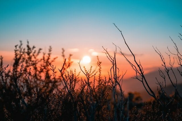 Best books about reconnecting with Nature