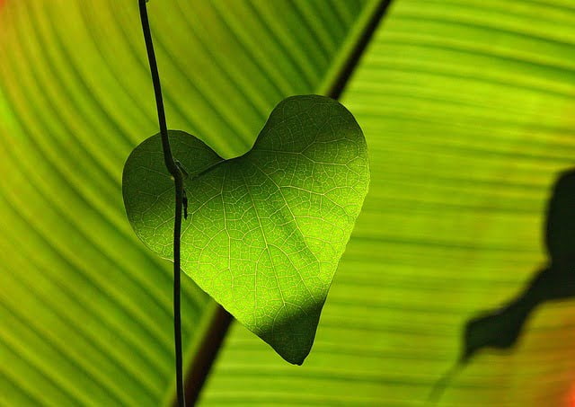 Heart chakra affirmations