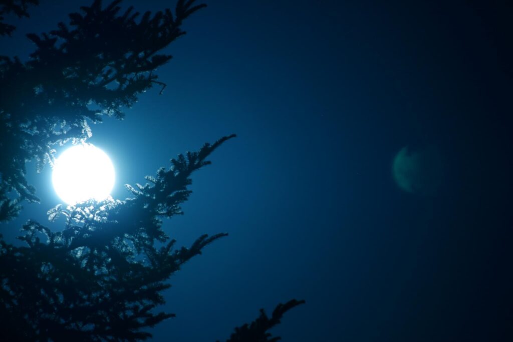 Use the energy of the moon - activities in nature