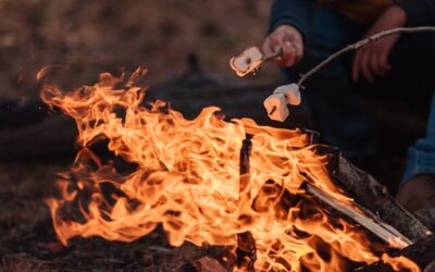 Cooking Over A Campfire To Reconnect With Nature: 9 Fun Ideas