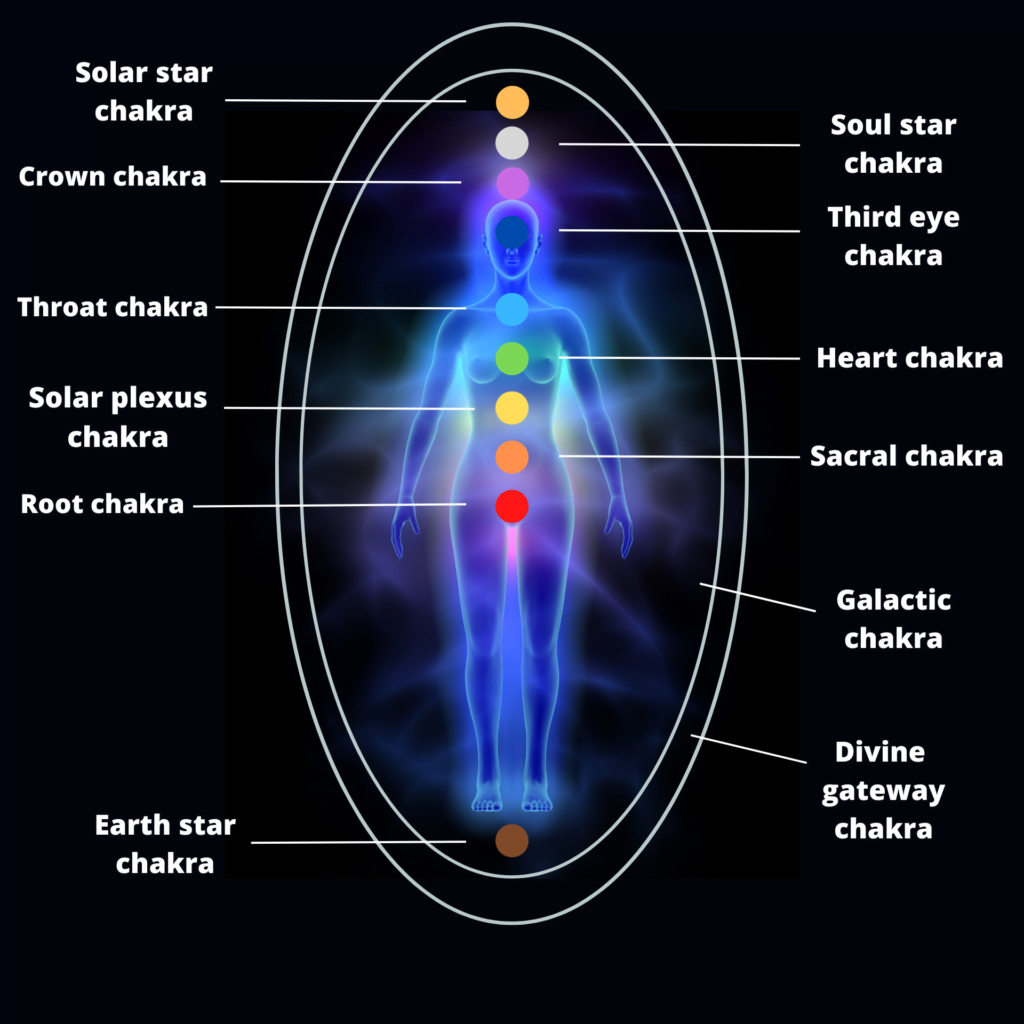 The 12 Chakra System